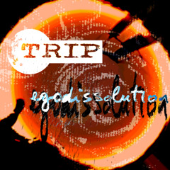 the tiny man and the big whale