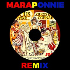 Had Ik Maar (MARAPONNIE REMIX)