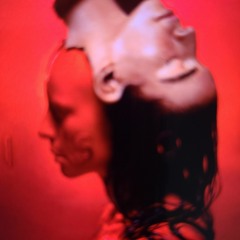 sevdaliza human - sped up