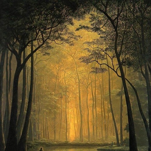 Into The Forest Vol.1