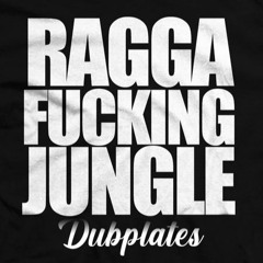 Jamin Nimjah feat. Pinchers - BBL Bandelero Dubplate (Ragga Fucking Jungle Version)