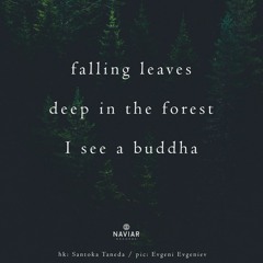 Mantra For Falling Leaves (naviarhaiku453)