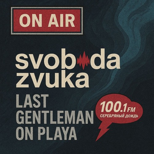 Last Gentleman On Playa @ Silver Rain Radio - Svoboda Zvuka - 31.05.2025