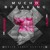 Artwork for Offer Nissim+Maya+Vanessa Klein - Breaking Away(Jose Spinnin Cortes White Label Remix)