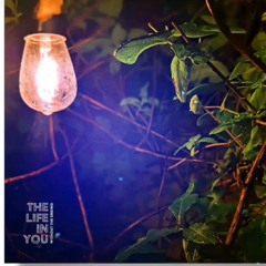 The Life in You  - Owl Mountain