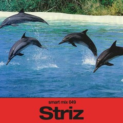 Smart Mix 49: Striz