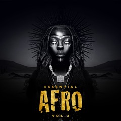 Retrohandz Essential Afro 2 (samples & loops)