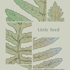 Little Seed by Wei Tchou