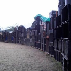 tribe & tekno