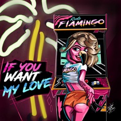 If You Want My Love (Original Mix)