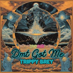 DMT Got Me Trippy Brey