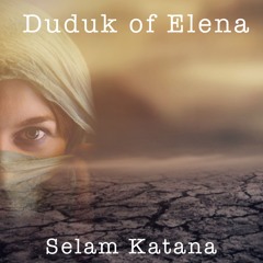 Dudok Of Elena 1