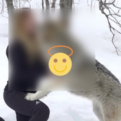 FULL@@ VIDEOS~]+] One girl one^ wolf Orginal Video Viral On Social Media X