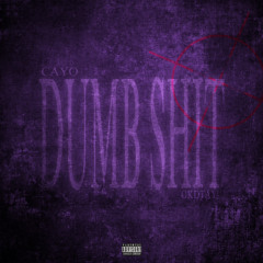 dumb shit (feat. cayo)