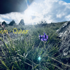 Bloom