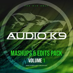 AUDIO K9 MASHUPS X EDITS PACK (FOR DJS ONLY) (21 TRACKS INCLUDED) - VOLUME 1.