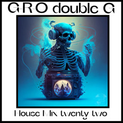 House Mix 22