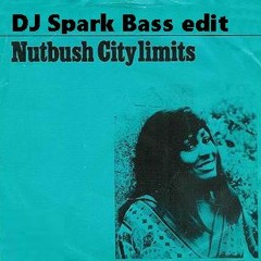 Nutbush City limits mashup mit Blumen // DJ Spark bass edit // 22 08 2023