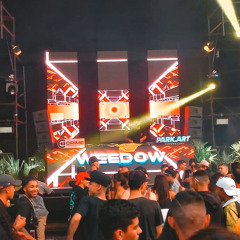 Weedow @ Park Art, Curitiba - Br (25.03.2023) 06am