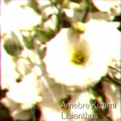 Lisianthus