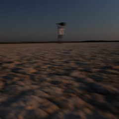 DUNIA (Feat. Elena Ledda)