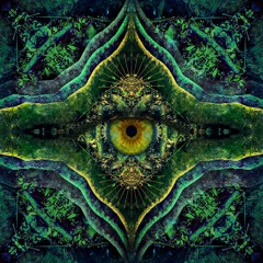 Poranguí & Liquid Bloom - Feathered Serpent (Savej Remix)