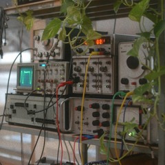 Three oscillators