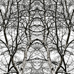 Melismatic Meanderings