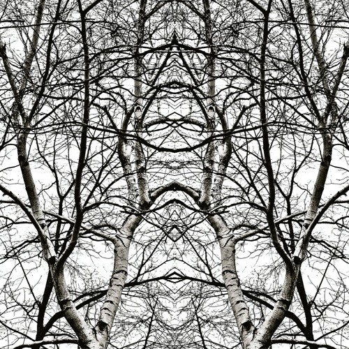 Melismatic Meanderings