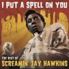 I Put the Drip on You ((Parody of I Put a Spell on You)) by Screamin Jay Hawkins and Mikey Blayze