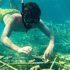 Review Special Price Snorkel Lovers For All Ages Premium Seafood Lunch In Punta Cana