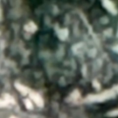 Denis & Senglar - Then is Theme