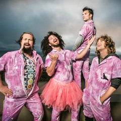 Sunny Day - Pigeons Playing Ping Pong