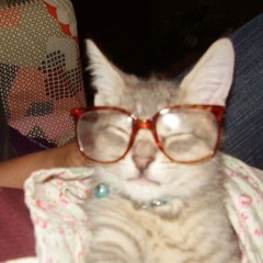 i just dk " prod @333