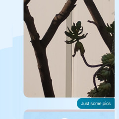 cookin  resurrection of the dragon..Bad INBOUjee. with DRACONIAN GRIME>>>>MIGOSMIX....(with Black Astronaut,and DraconianGrime...) with migos... andear drummers.._1