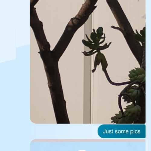 cookin  resurrection of the dragon..Bad INBOUjee. with DRACONIAN GRIME>>>>MIGOSMIX....(with Black Astronaut,and DraconianGrime...) with migos... andear drummers.._1