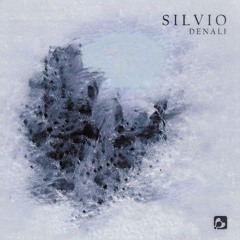 SILVIO - Denali