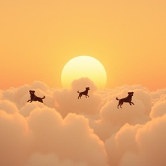 The Dogs Come Down