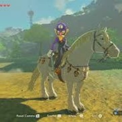 zelda but i made it with sountrap