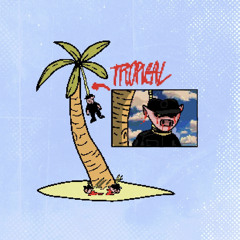 Kilder - Tropical.mptd2