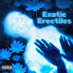 Exotic Erectiles (feat. Jay Cam)