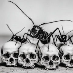 Ici la Terre à vous le ciment