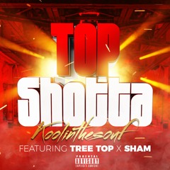 Top Shotta (feat. Sham x Tree Top)