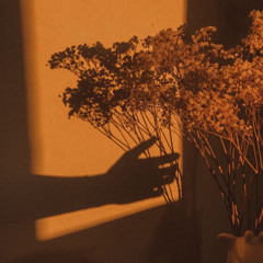 1 cú lừa cover