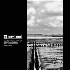 Premiere: Stephen Disario "Extrovert" Planet Rhythm