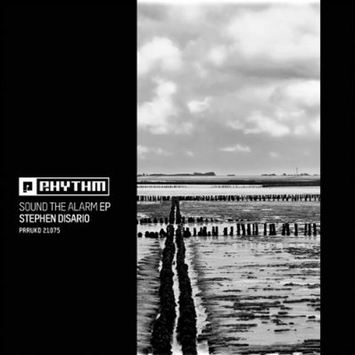 Premiere: Stephen Disario "Extrovert" Planet Rhythm
