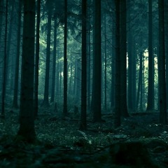 Night in forest with deer rut very close