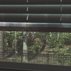 .window-sill [pride].