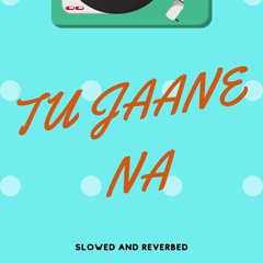 Tu Jane Na Slowed And Reverbed