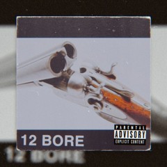 12 Bore